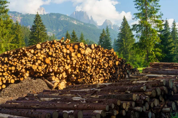 Moena 'dan Canazei' ye, Trento 'ya, Trentino Alto Adige, İtalya' ya, Fassa Vadisi 'nin bisiklet yolu boyunca yaz aylarında Dolomitlerin dağ manzarası