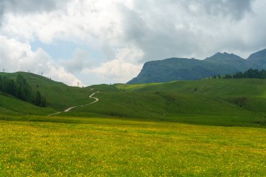 Dolomitlerin dağlık arazisi yazın Venegia Vadisi, Trento, Trentino Alto Adige, İtalya