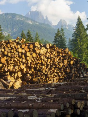 Moena 'dan Canazei' ye, Trento 'ya, Trentino Alto Adige, İtalya' ya, Fassa Vadisi 'nin bisiklet yolu boyunca yaz aylarında Dolomitlerin dağ manzarası