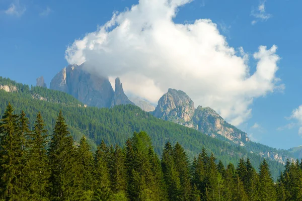 Górski Krajobraz Dolomitów Lecie Wzdłuż Ścieżki Rowerowej Doliny Fassa Moena — Zdjęcie stockowe