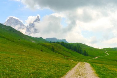 Dolomitlerin dağlık arazisi yazın Venegia Vadisi, Trento, Trentino Alto Adige, İtalya