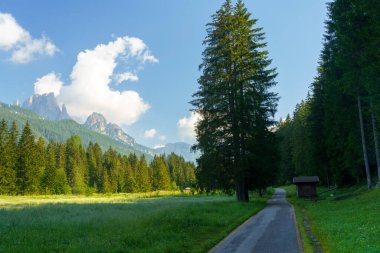 Moena 'dan Canazei' ye, Trento 'ya, Trentino Alto Adige, İtalya' ya, Fassa Vadisi 'nin bisiklet yolu boyunca yaz aylarında Dolomitlerin dağ manzarası