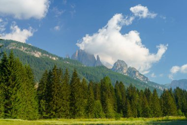 Moena 'dan Canazei' ye, Trento 'ya, Trentino Alto Adige, İtalya' ya, Fassa Vadisi 'nin bisiklet yolu boyunca yaz aylarında Dolomitlerin dağ manzarası