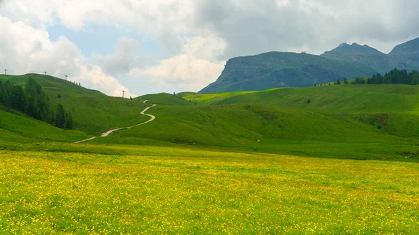 Mountain Landscape Dolomites Summer Venegia Valley Trento Trentino Alto Adige — Stock Photo, Image