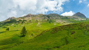 Dolomitlerin dağlık arazisi yazın Venegia Vadisi, Trento, Trentino Alto Adige, İtalya