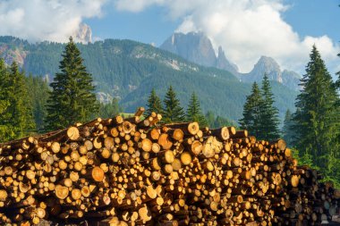 Moena 'dan Canazei' ye, Trento 'ya, Trentino Alto Adige, İtalya' ya, Fassa Vadisi 'nin bisiklet yolu boyunca yaz aylarında Dolomitlerin dağ manzarası