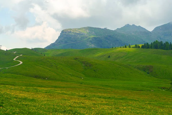 Paesaggio Montano Delle Dolomiti Estate Nella Val Venegia Trento Trentino — Foto Stock