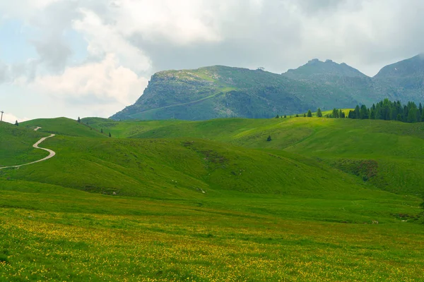 Paisaje Montañoso Dolomitas Verano Valle Venegia Trento Trentino Alto Adigio —  Fotos de Stock