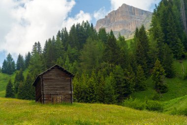 Yaz aylarında Pordoi geçidi boyunca uzanan dağ manzarası, Dolomites, Belluno ili, Veneto, İtalya