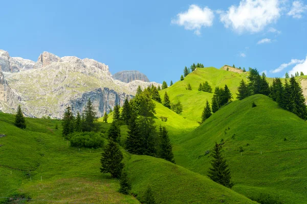 Yaz aylarında Pordoi geçidi boyunca uzanan dağ manzarası, Dolomites, Belluno ili, Veneto, İtalya