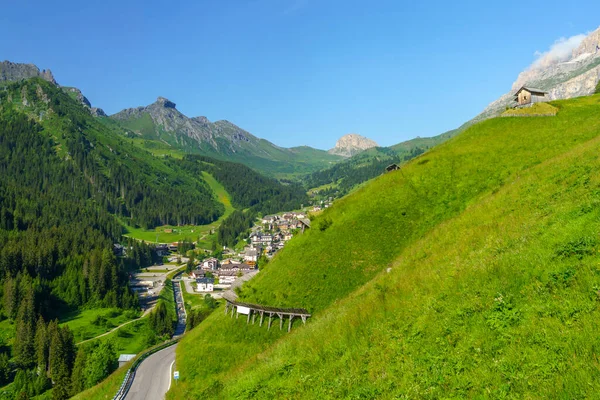 カンポロンゴ峠 ドロミテ ベルーノ州 ヴェネト州 イタリアへの道に沿って夏の山の風景 — ストック写真