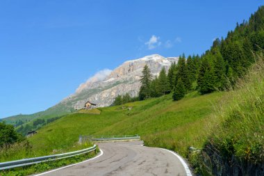 Yaz aylarında Campolongo geçidi boyunca uzanan dağ manzarası, Dolomites, Belluno ili, Veneto, İtalya