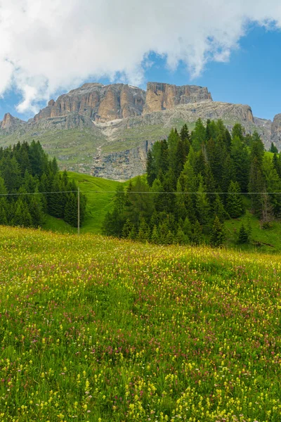 Yaz Aylarında Pordoi Geçidi Boyunca Uzanan Dağ Manzarası Dolomites Belluno — Stok fotoğraf