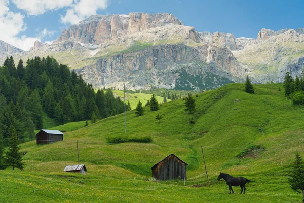 Horská Krajina Létě Podél Silnice Pordoi Průsmyku Dolomity Provincie Belluno — Stock fotografie