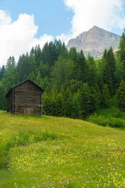 意大利韦尼托贝鲁诺省Dolomites通往Pordoi山口的路上夏季的山区景观 — 图库照片