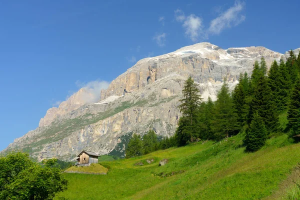 Yaz Aylarında Campolongo Geçidi Boyunca Uzanan Dağ Manzarası Dolomites Belluno — Stok fotoğraf