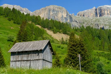 Yaz aylarında Campolongo geçidi boyunca uzanan dağ manzarası, Dolomites, Belluno ili, Veneto, İtalya