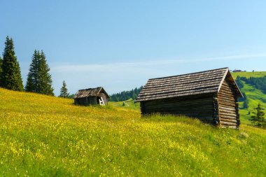 Yaz aylarında Campolongo geçidi boyunca uzanan dağ manzarası, Dolomites, Bolzano ili, Trentino Alto Adige, İtalya