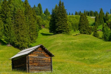 Yaz aylarında Campolongo geçidi boyunca uzanan dağ manzarası, Dolomites, Bolzano ili, Trentino Alto Adige, İtalya