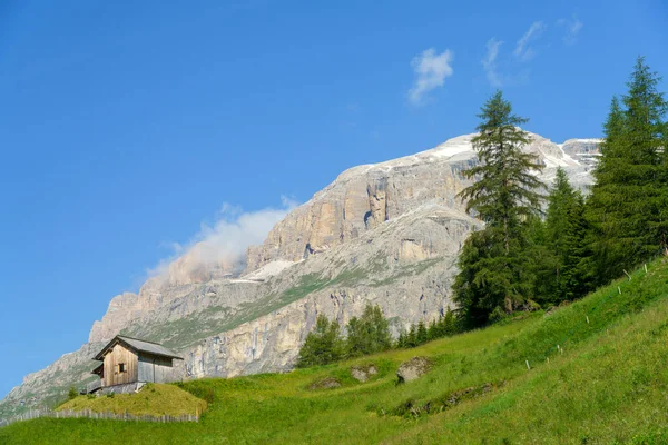 Yaz Aylarında Campolongo Geçidi Boyunca Uzanan Dağ Manzarası Dolomites Belluno — Stok fotoğraf