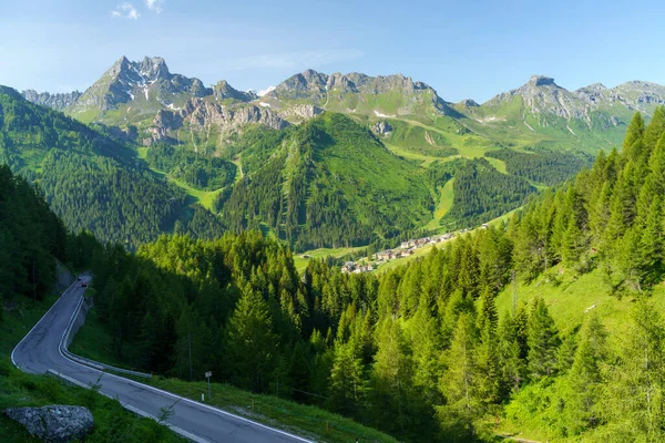 カンポロンゴ峠 ドロミテ ベルーノ州 ヴェネト州 イタリアへの道に沿って夏の山の風景 — ストック写真