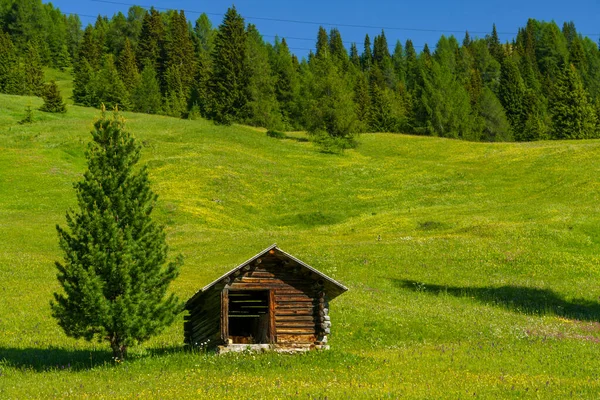 Campolongo Geçidi Boyunca Uzanan Dağ Manzarası Dolomitler — Stok fotoğraf