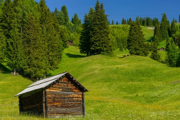 意大利Trentino Alto Adige Bolzano省Dolomites通往Campolongo过境点的路上夏季的山区景观 — 图库照片