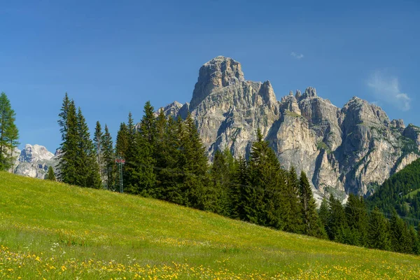 Berglandschap Zomer Langs Weg Naar Campolongo Pas Dolomieten Provincie Bolzano — Stockfoto