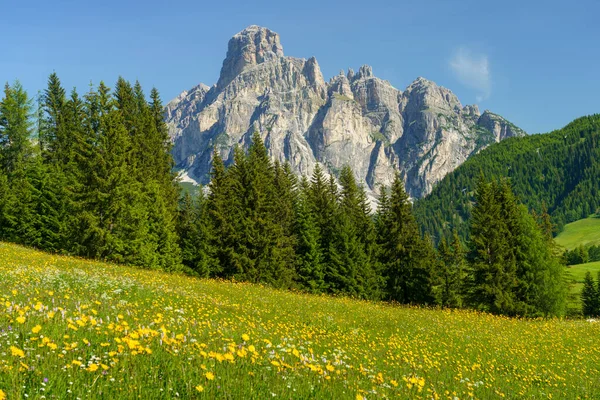 Horská Krajina Létě Podél Silnice Průsmyku Campolongo Dolomity Provincie Bolzano — Stock fotografie