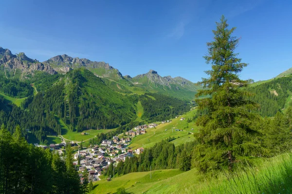 Bergslandskap Sommaren Längs Vägen Till Campolongo Pass Dolomiterna Belluno Provinsen — Stockfoto