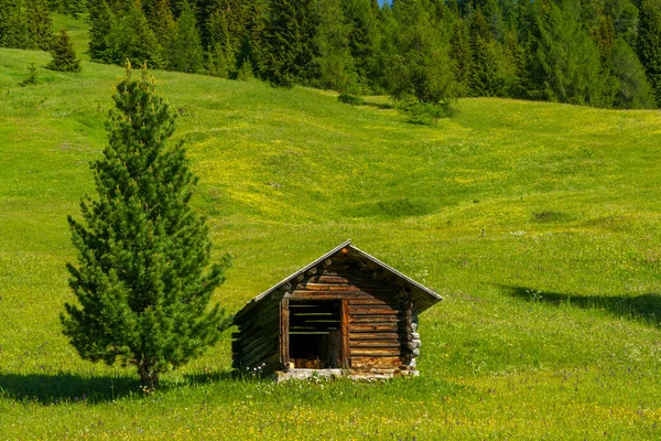 Berglandschaft Entlang Der Straße Zum Campolongo Pass Dolomiten — Stockfoto