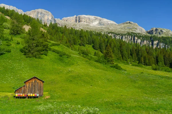 Mountain Landscape Summer Road Campolongo Pass Dolomites Bolzano Province Trentino — Stock Photo, Image