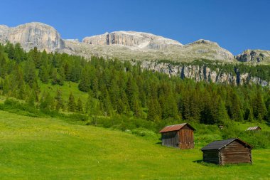Yaz aylarında Campolongo geçidi boyunca uzanan dağ manzarası, Dolomites, Bolzano ili, Trentino Alto Adige, İtalya