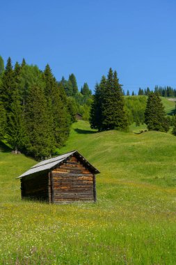 Yaz aylarında Campolongo geçidi boyunca uzanan dağ manzarası, Dolomites, Bolzano ili, Trentino Alto Adige, İtalya