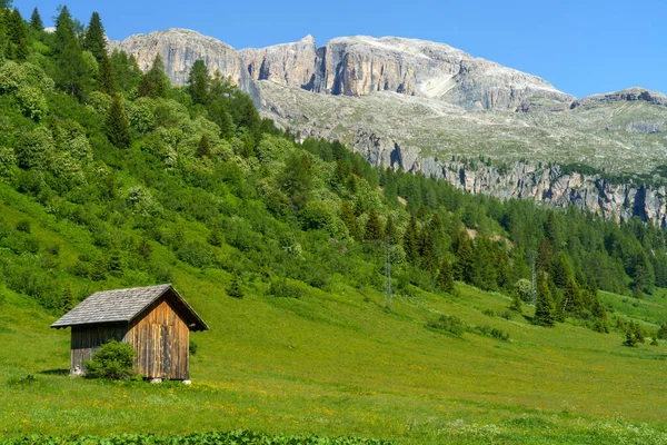 Krajobraz Górski Lecie Wzdłuż Drogi Przełęczy Campolongo Dolomity Prowincja Belluno — Zdjęcie stockowe