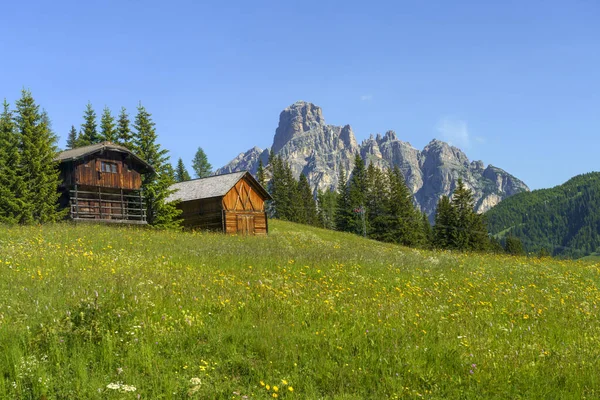 Krajobraz Górski Lecie Wzdłuż Drogi Przełęczy Campolongo Dolomity Prowincja Bolzano — Zdjęcie stockowe