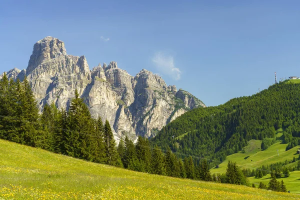 Yaz Aylarında Campolongo Geçidi Boyunca Uzanan Dağ Manzarası Dolomites Bolzano — Stok fotoğraf