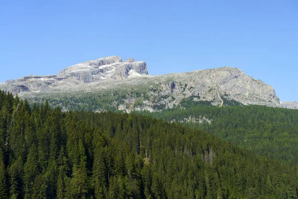 Yaz aylarında Campolongo geçidi boyunca uzanan dağ manzarası, Dolomites, Bolzano ili, Trentino Alto Adige, İtalya
