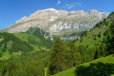 Yaz aylarında Campolongo geçidi boyunca uzanan dağ manzarası, Dolomites, Belluno ili, Veneto, İtalya