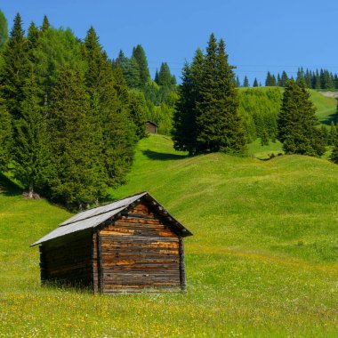 Yaz aylarında Campolongo geçidi boyunca uzanan dağ manzarası, Dolomites, Bolzano ili, Trentino Alto Adige, İtalya