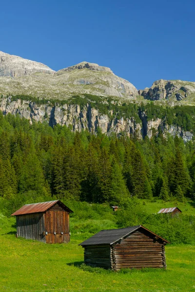 Mountain Landscape Summer Road Campolongo Pass Dolomites Bolzano Province Trentino — Stock Photo, Image