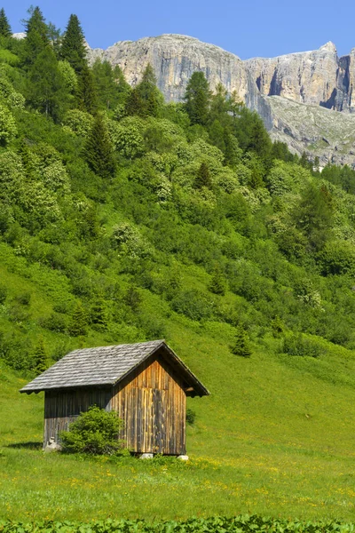 Mountain Landscape Summer Road Campolongo Pass Dolomites Belluno Province Veneto — Stock Photo, Image