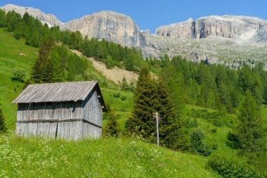 Yaz aylarında Campolongo geçidi boyunca uzanan dağ manzarası, Dolomites, Belluno ili, Veneto, İtalya