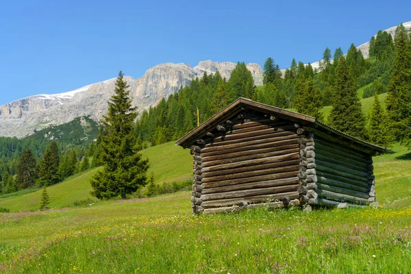 Paisaje Montaña Verano Largo Carretera Campolongo Pass Dolomitas Provincia Bolzano —  Fotos de Stock