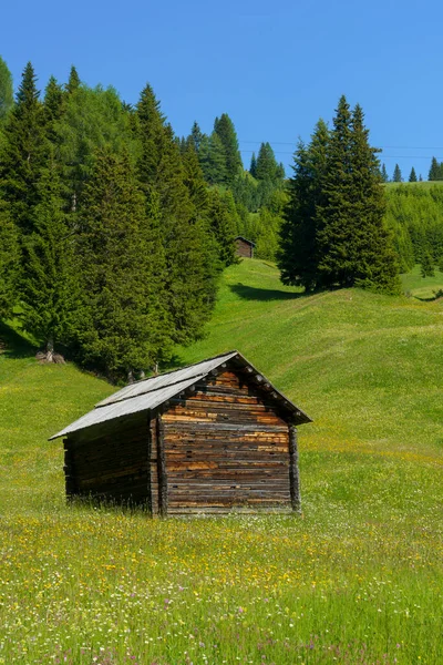 意大利Trentino Alto Adige Bolzano省Dolomites通往Campolongo过境点的路上夏季的山区景观 — 图库照片