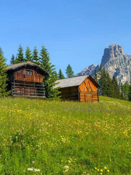 Paisagem Montanhosa Verão Longo Estrada Para Campolongo Pass Dolomites Província — Fotografia de Stock