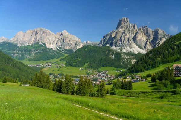 Yaz Aylarında Campolongo Geçidi Boyunca Uzanan Dağ Manzarası Dolomites Bolzano — Stok fotoğraf