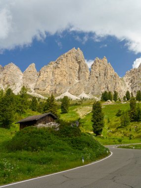 Yaz aylarında Gardena geçidi boyunca uzanan dağ manzarası, Dolomites, Bolzano ili, Trentino Alto Adige, İtalya