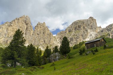 Yaz aylarında Gardena geçidi boyunca uzanan dağ manzarası, Dolomites, Bolzano ili, Trentino Alto Adige, İtalya
