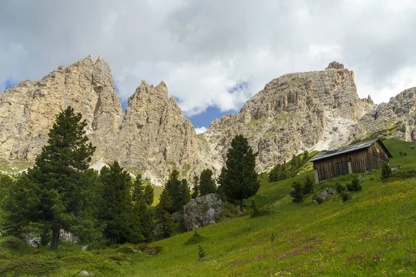 Paisaje Montaña Verano Largo Del Camino Paso Gardena Dolomitas Provincia — Foto de Stock